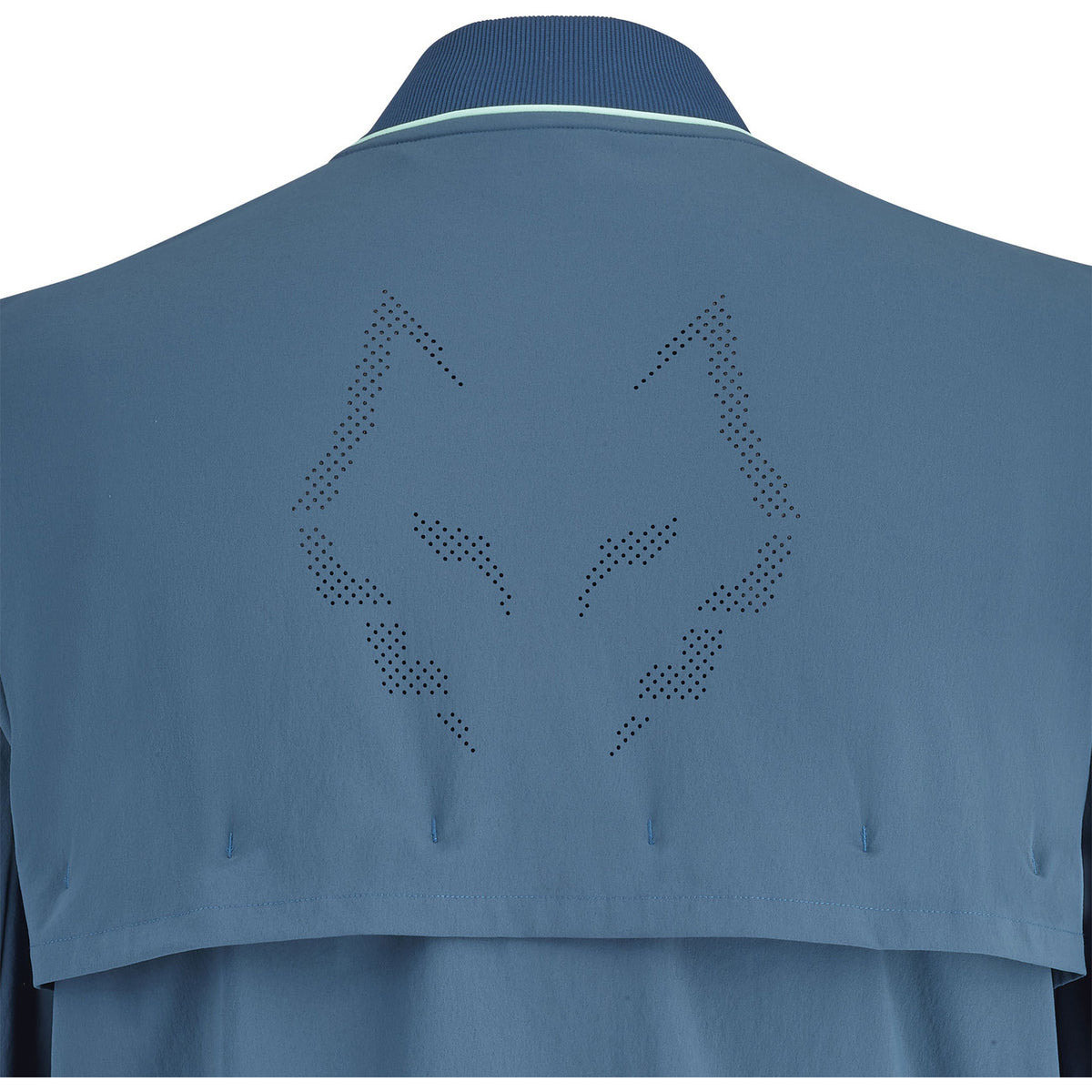 Babolat Tech Jacket Lebron Legion Blue