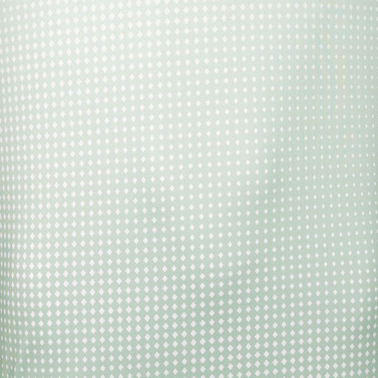 JDH Graphic T-Shirt Sage -