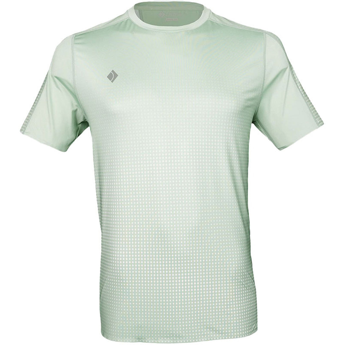 Vooraanzicht van het mintgroene JDH Graphic T-shirt met stippenprint en ronde hals