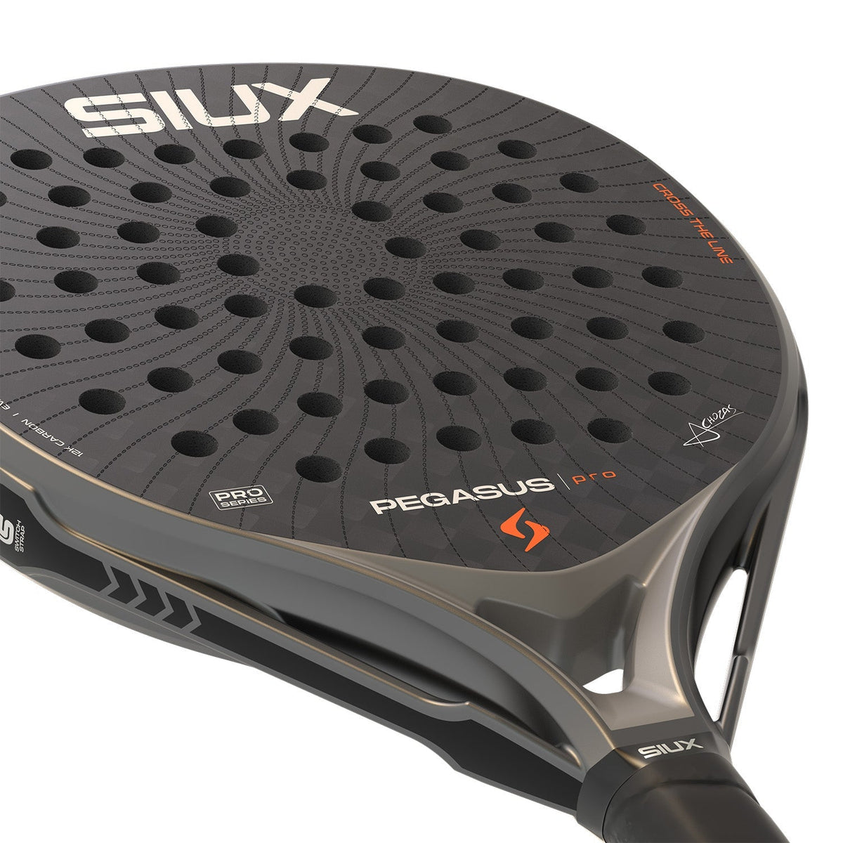 Close-up van het slagvlak van de Siux Pegasus Pro 26 Storm Grey
