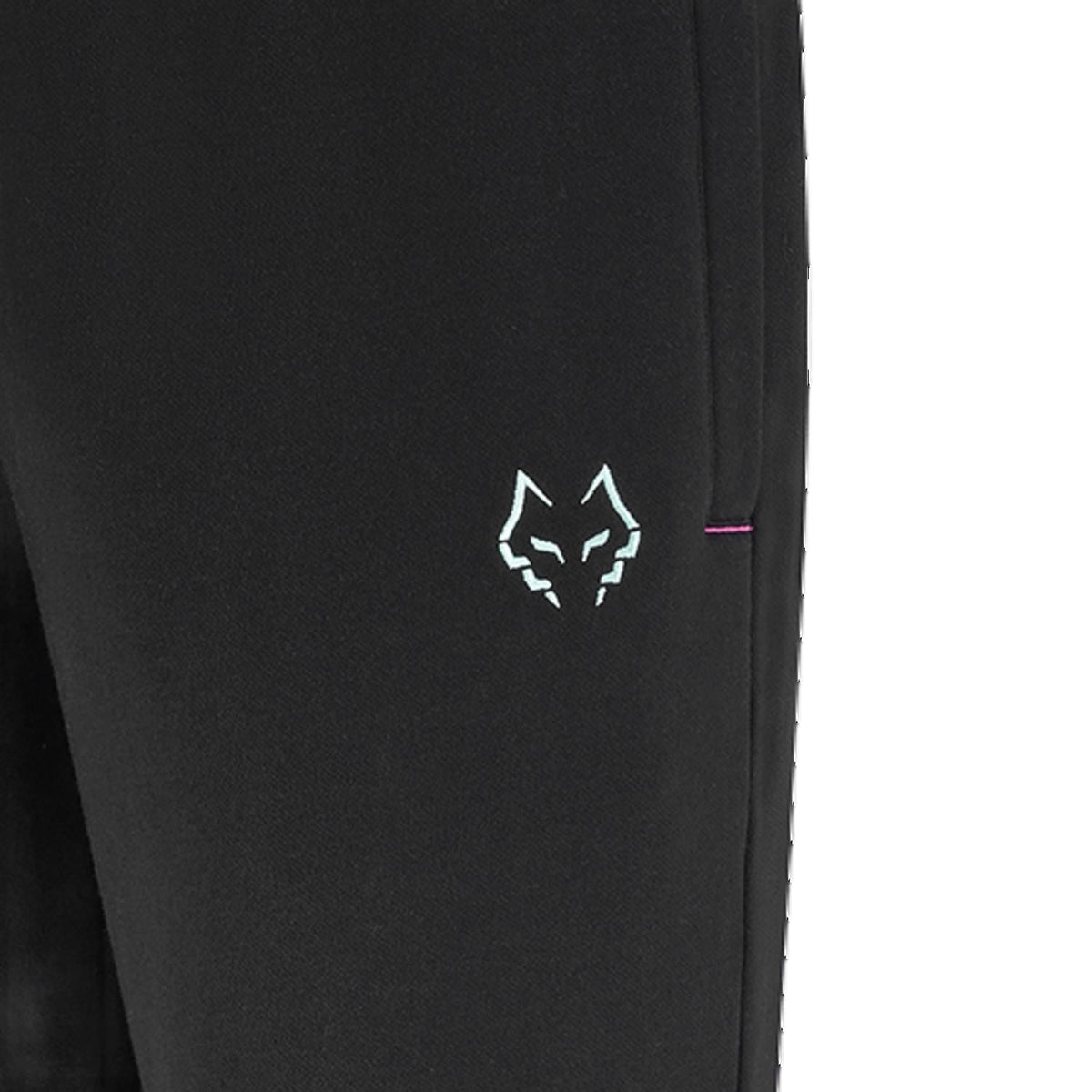 Babolat Sweat Pant Lebron Men