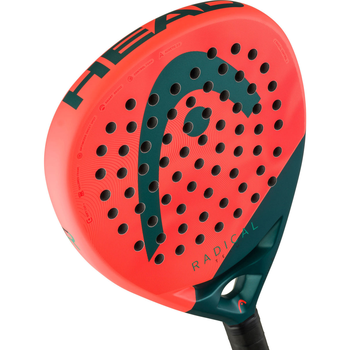 HEAD Radical Team 2026