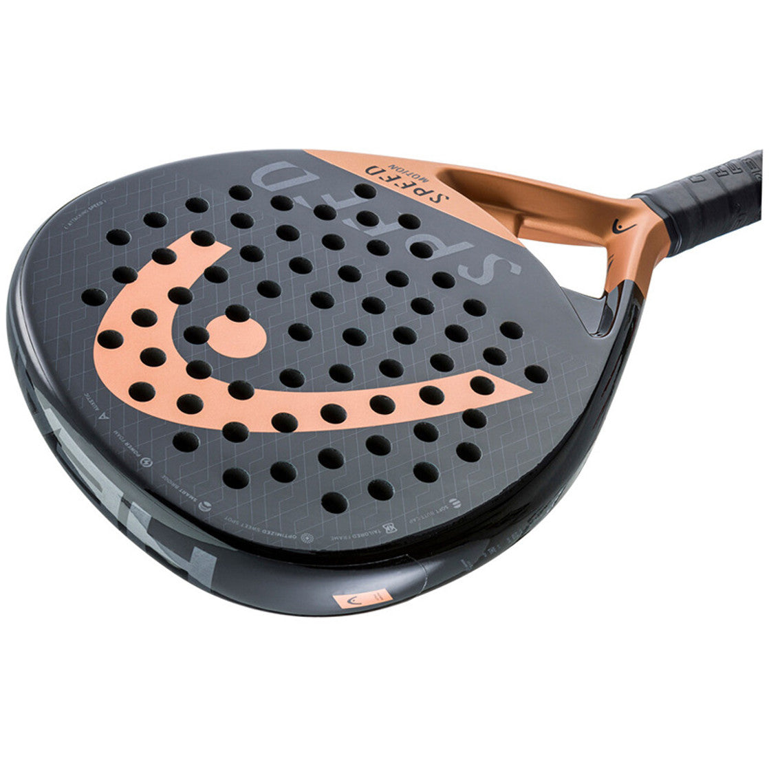 Head Speed Motion 2023