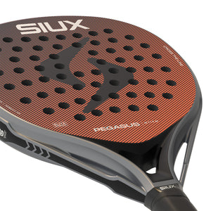 Siux Pegasus Elite 4