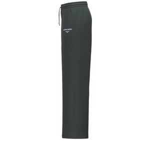 Vooraanzicht van de donkergrijze Bjorn Borg Essential joggingbroek met logo op de heup