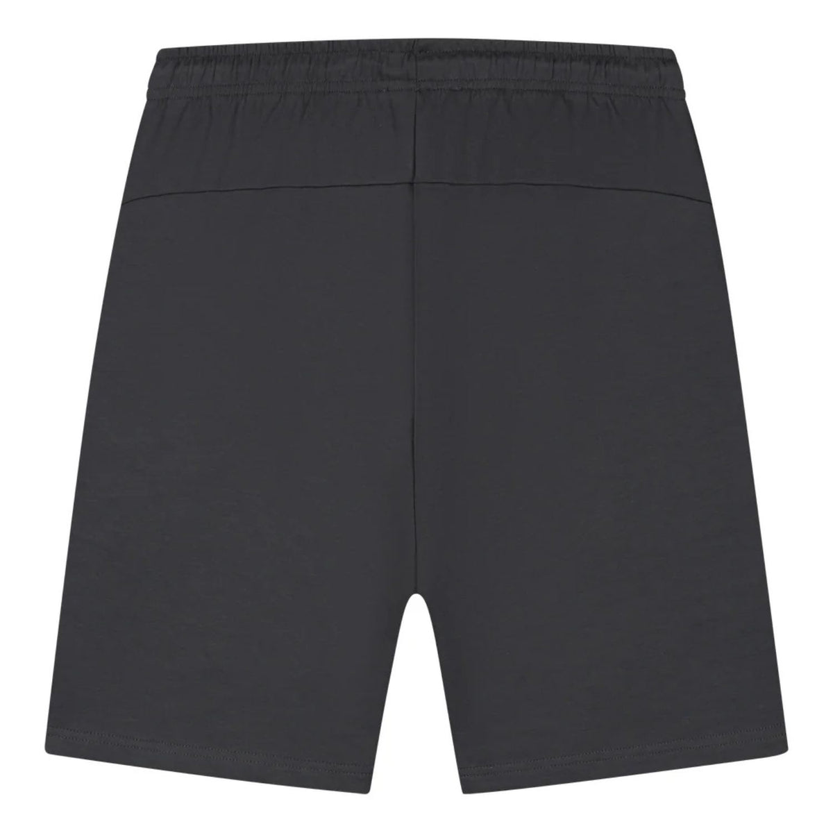 Achteraanzicht van de antracietkleurige Malelions Sport Counter short