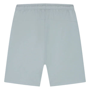 Achteraanzicht van de lichtblauwgrijze Malelions Sport Counter Shorts