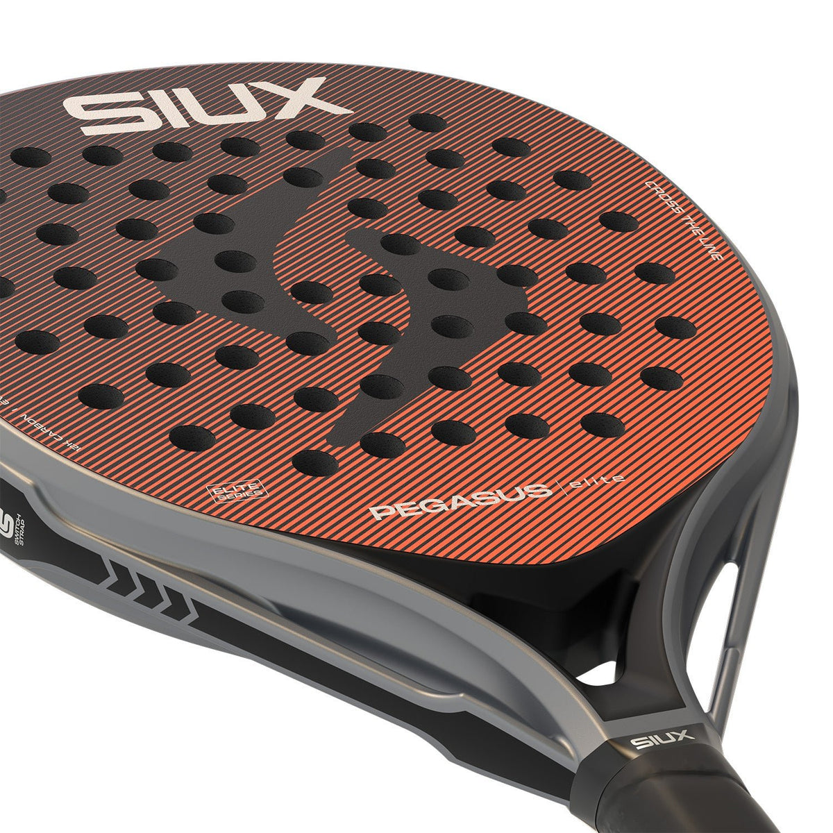 Close-up van het slagvlak van het Siux Pegasus Elite 4 met opdruk PEGASUS elite